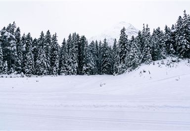 B7 Panorama Trail with Munde view