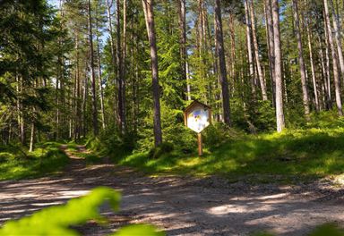Information board on the Reith Bee Nature Trail