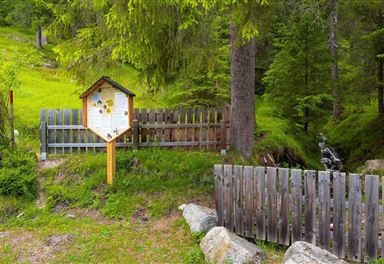 Information board on the Reith Bee Nature Trail