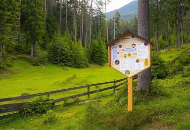 Information board on the Reith Bee Nature Trail
