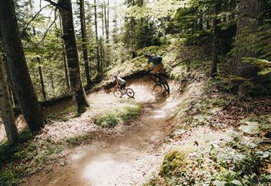 Bikepark Katzenkopf Leutasch