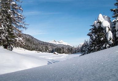 Blick auf B1-Loipe in Mösern