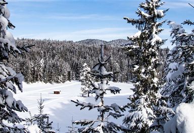 Blick auf Lottensee-Loipe