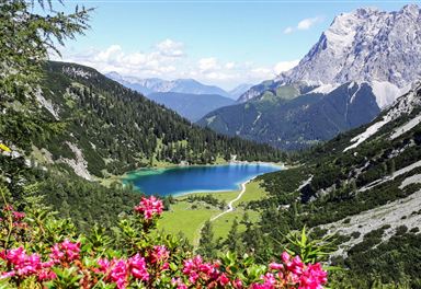 Seebensee with alpine roses