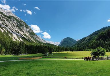 Wiese bei der Möslalm