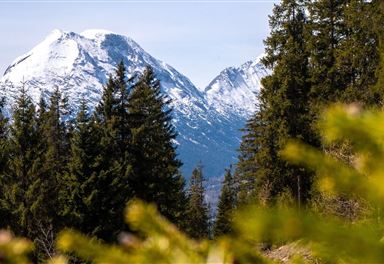 Blick zur Hohen Munde
