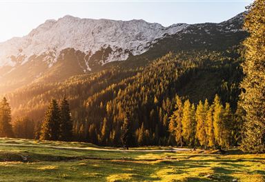 Meadow near the Gaistalalm