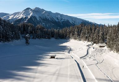 C11 cross-country ski trail with Hocheder view