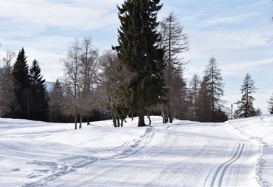 Loipe am Lottensee
