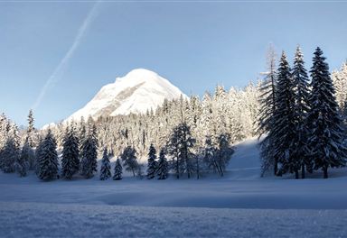 Winter at Lottensee