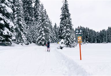 Cross-country ski trail C3-C4-C5 Classic