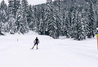 Skating on the Neuleutasch trail