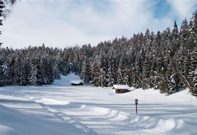 Buchen cross-country trail towards Muggenmoos