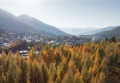 Herbstlicher Lärchenwald am Geigenbühel