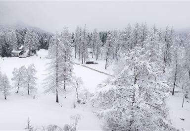 Winterlandschaft am Oberen Wiesenweg