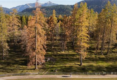 Autumn hike on the Oberer Wiesenweg