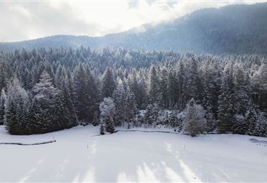 Winter landscape along the Leutasch cross-country ski trail