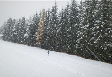 Langläufer auf Snowfarmingloipe