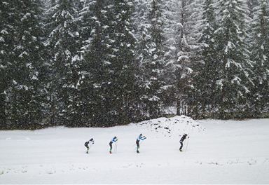 Langläufer auf der Snowfarmingloipe