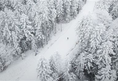 Snowfarmingloipe Leutasch aus der Luft