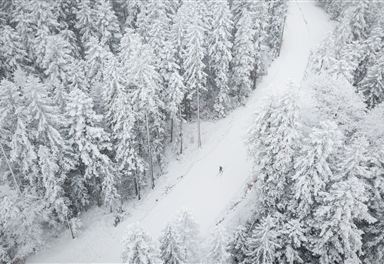 Waldloipe Alpenbad from a bird's eye view