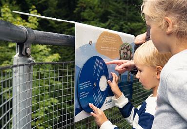 Infotafel in der Geisterklamm