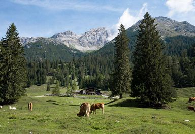 Alpine landscape in Gaistal