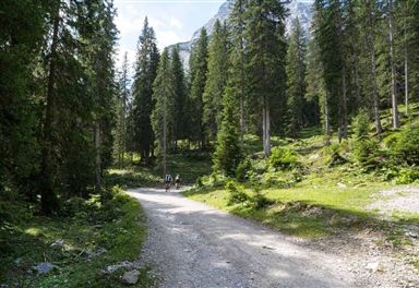 Biketour Gaistal-Seebensee