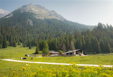 Gaistalalm im Sommer