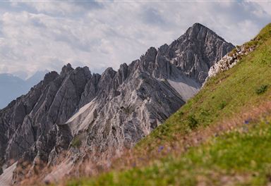 Gipfel der Seefelder Spitze