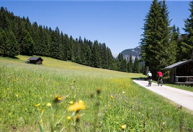 Radweg bei Seefeld