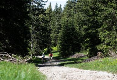 Cycle path to Brunschkopf