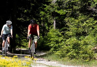 Gravel bikers at Brunschkopf