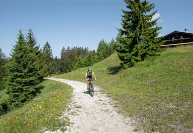 Mountain biking on the Gschwandtkopf