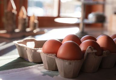 Fresh eggs at Thoamlhof
