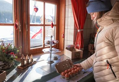Shopping at the farm shop
