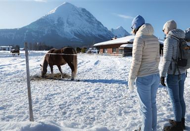 Winter hike at Thomlhof