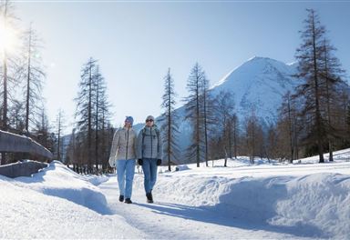 Winter hike on the Obere Wiesenwege