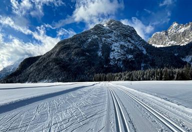Cross-country ski trail in winter