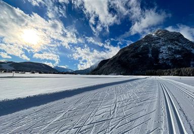Cross-country ski trail in winter