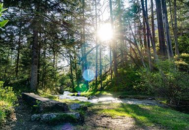 Isarquelle im Hinterautal