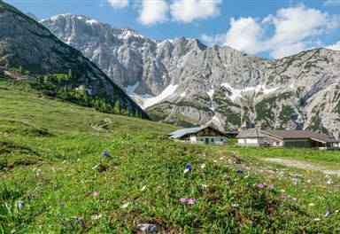 Alm am Karwendelgebirge