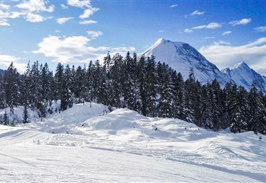 Winter landscape at the Katzenkopfhütte