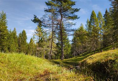 Bachlauf im Katzenloch