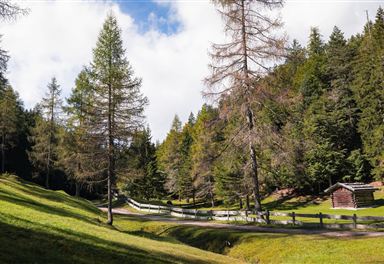 Wanderweg Katzenloch im Herbst