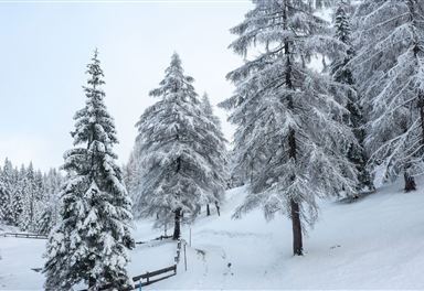 Winter hiking trail in the Katzenloch