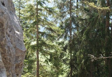 Kletterwand Mauerbogen Leutasch