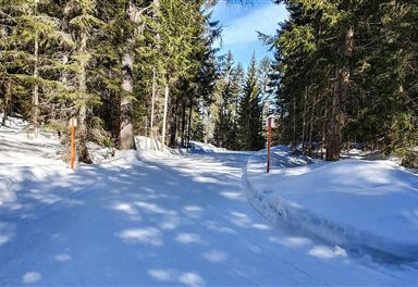 Junction C8-W18 in winter