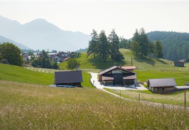 Wiesenweg bei Leithen