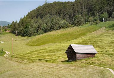 Kulturwanderweg Reith im Sommer